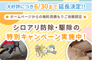 【大好評につき延長決定!!】シロアリ防除・駆除の特別キャンペーン実施中！